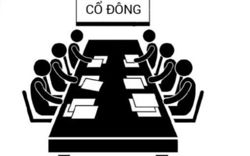 Tư vấn & hỗ trợ tổ chức họp Đại hội đồng cổ đông