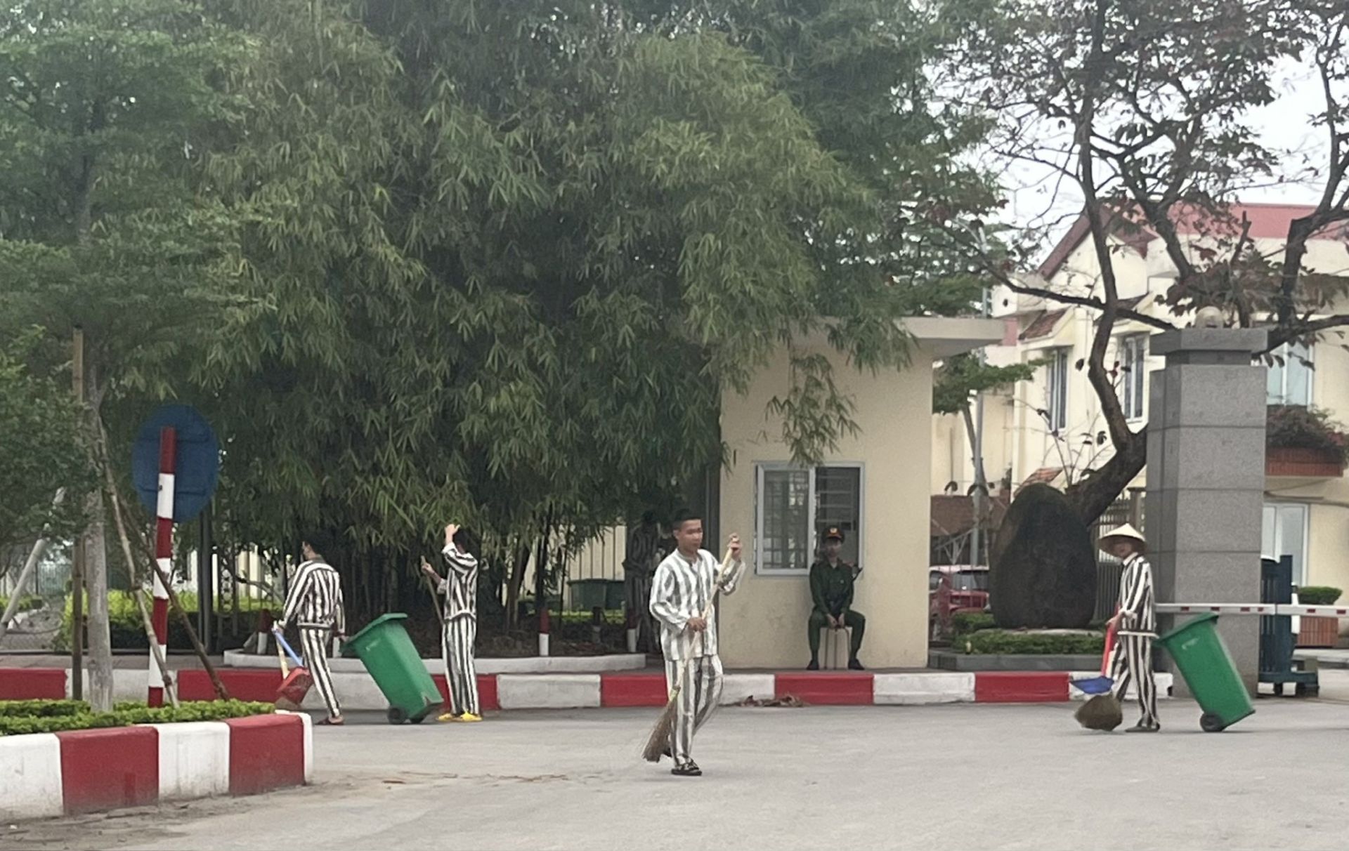 Pháp luật hình sự
