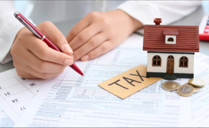 Luật sư Tư vấn Đầu tư & Dự án